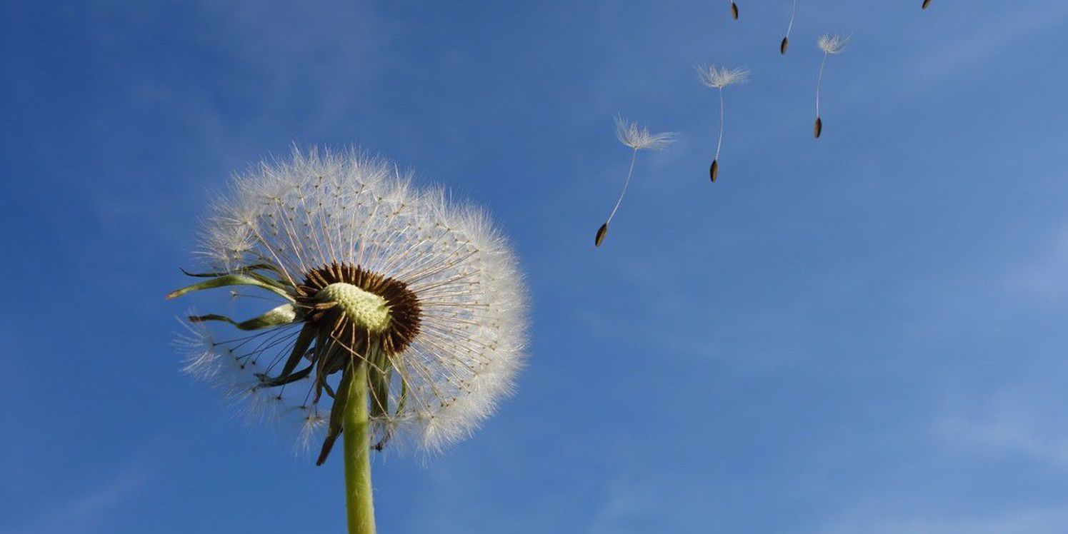 “When the Winds of Change Blow, Some People Build Walls, Others Build Windmills”