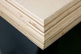 Maple Plywood